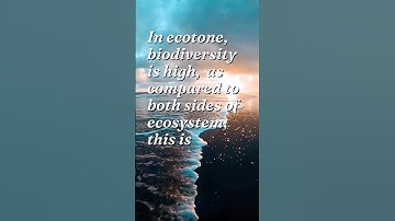 Edge effect #ecology