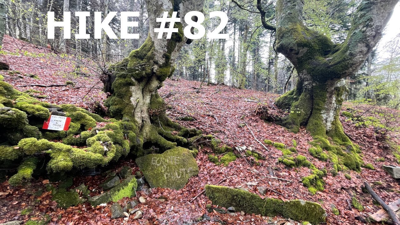 Hike: Anello Migliana - Acquerino - Rifugio Pacini