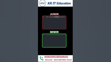 DIV Senior vs Junior: A Deep Dive 🧐 #shorts #programming #python