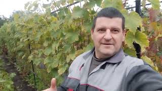 картинка: СКОРО ПОЯВИМСЯ. 