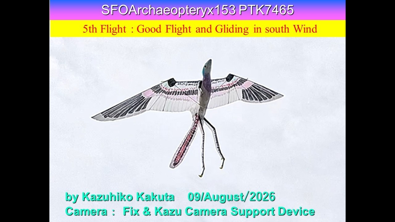 サーボ駆動始祖鳥型羽ばたき機 SFOArchaeopteryx153 PTK7465 53g : 5th