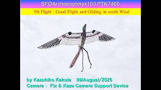 サーボ駆動始祖鳥型羽ばたき機 SFOArchaeopteryx153 PTK7465 53g : 5th Good Flight and Gliding in south Wind