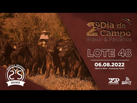 LOTE 48 A337