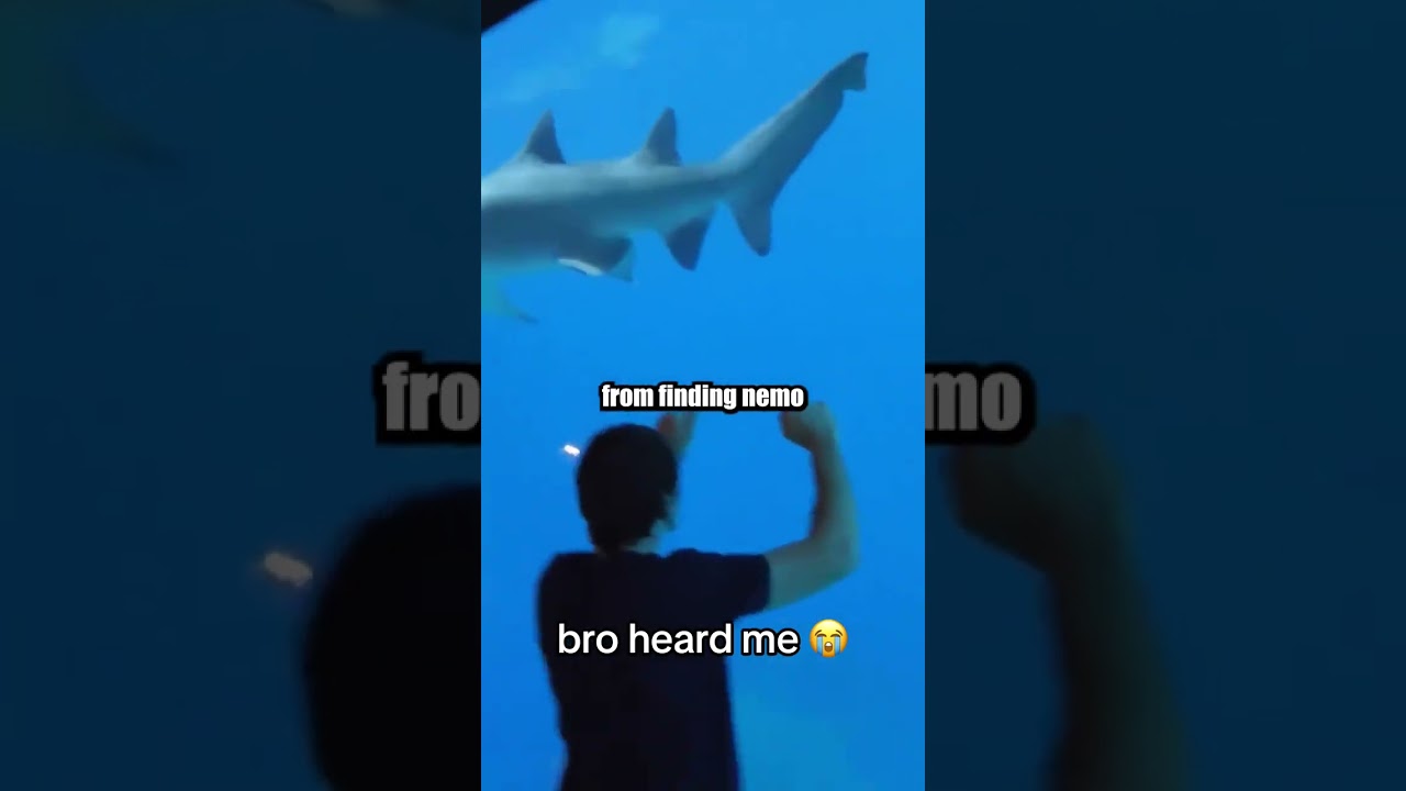 Он меня действительно услышал...