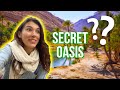 Is this really saudi arabia secret oasis