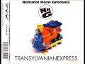 Natural born grooves  transylvanian express club mix