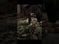 😱 Grenpa ने अचानक ATTACK कर दिया! Almost Gema Over #Shorts #Granny #HorrorGame
