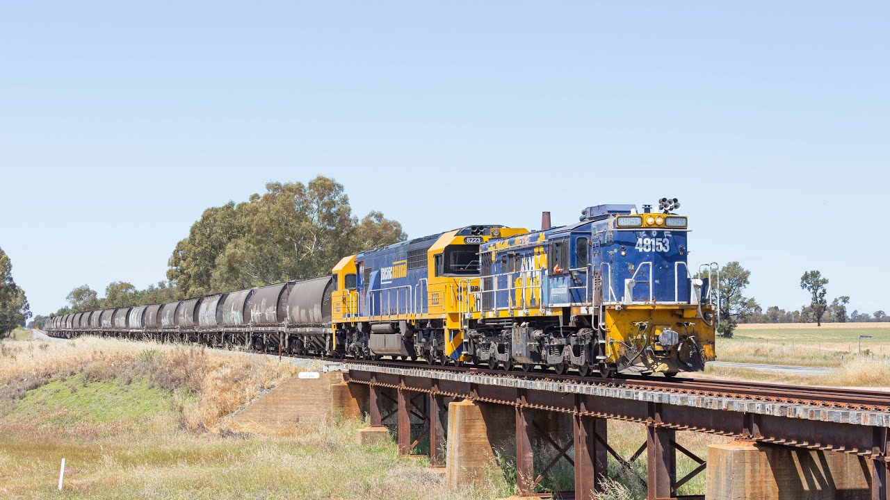 Last Pacific National Manildra Feeder to Grong Grong - October 27th 2024