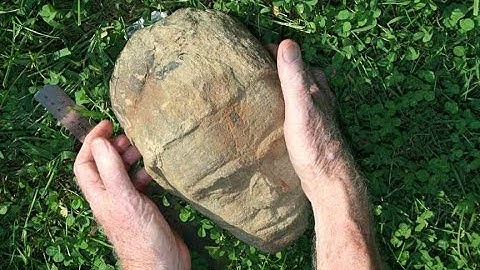 Complete Exceptionally Preserved Creatures of Soft Tissue "Mudfossil" Discovery Documentary Pt1