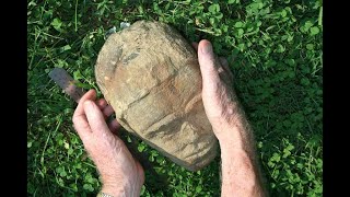 Complete Exceptionally Preserved Creatures of Soft Tissue "Mudfossil" Discovery Documentary Pt1 screenshot 3
