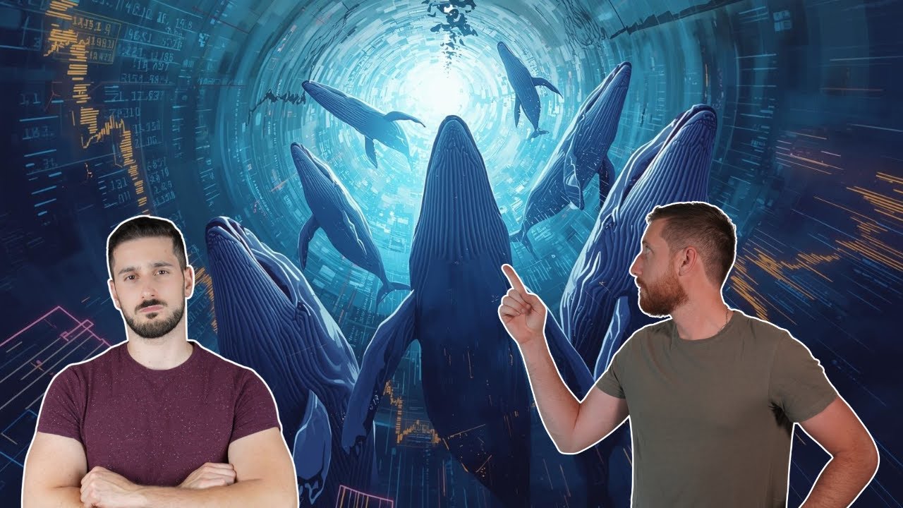 Le plan secret des baleines : te faire vendre avant le vrai bull run