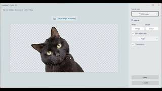 How to remove background of an image and make it transparent in Paint 3D