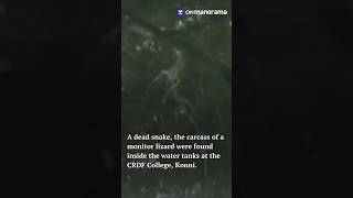 Dead #snake and #lizard found in #Pathanamthitta college water tank