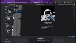 DiscoBots — Change Your Discord Account