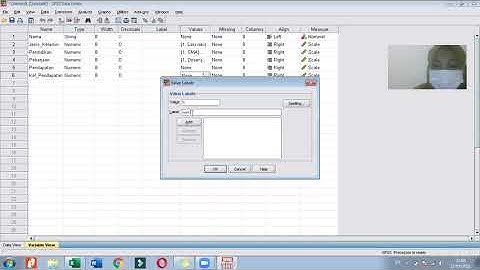 Cara Membuat Distribusi Frekuensi, Pengelompokan Data dan Grafik Menggunakan Software SPSS