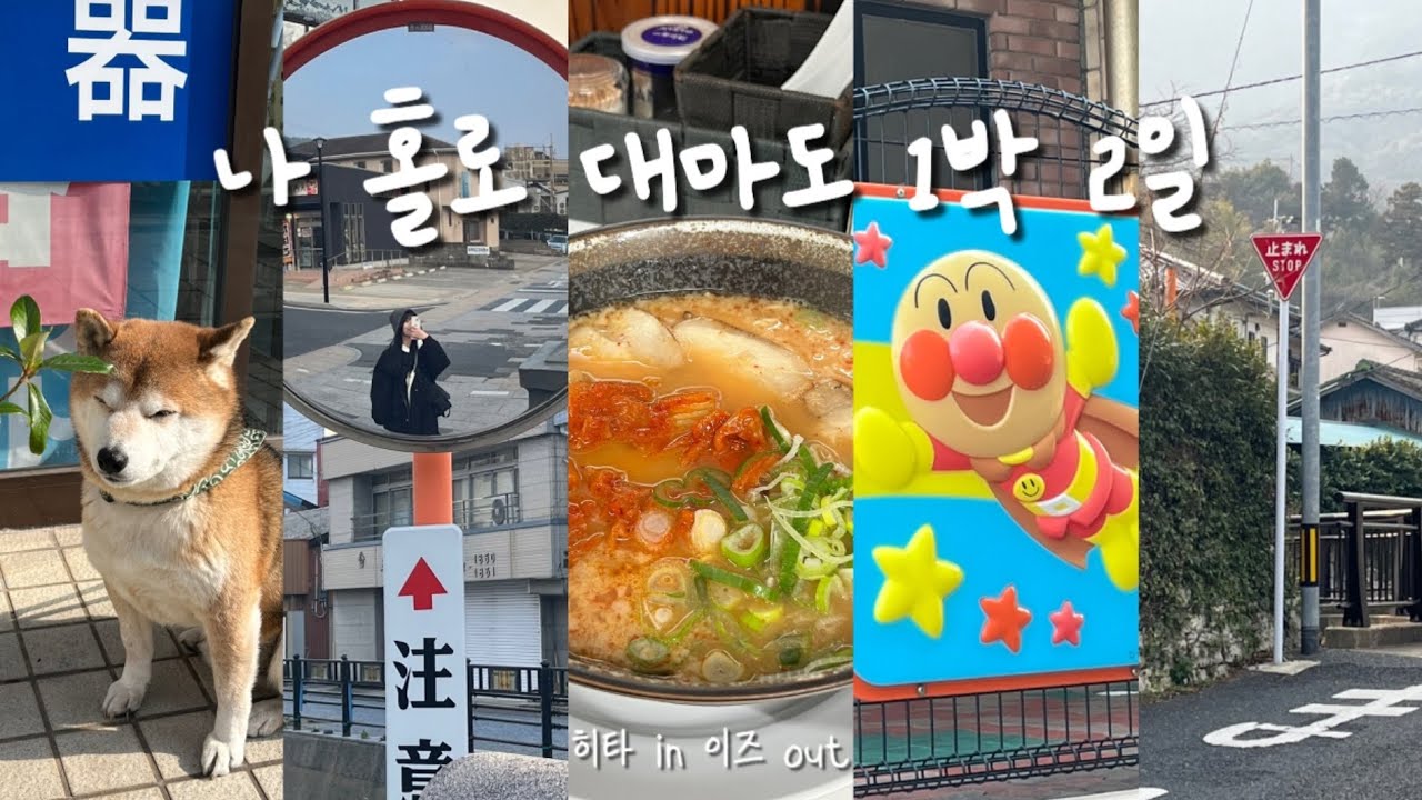 20만원으로 대마도 완전 정복🍛⛴️ 1박2일 총 경비 공유 | 이즈하라 맛집 | 히타카츠에서 이즈하라 가는 법 | 토요코인 호텔 후기 | 이즈하라에서 노는 법