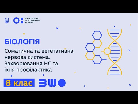 8 клас. Біологія. Соматична та вегетативна нервова система. Захворювання НС та їхня профілактика