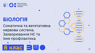 8 клас. Біологія. Соматична та вегетативна нервова система. Захворювання НС та їхня профілактика