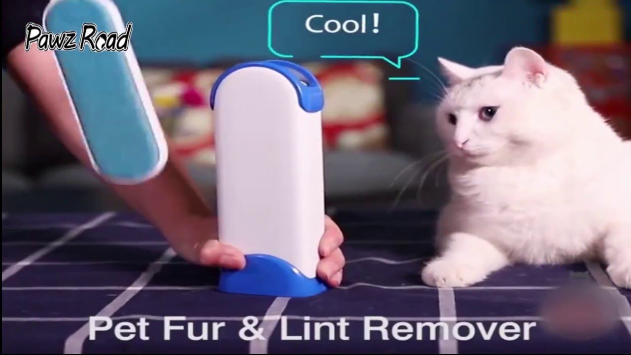 Pet Fur & Lint Hair Remover 2019 Pets Product YouTube