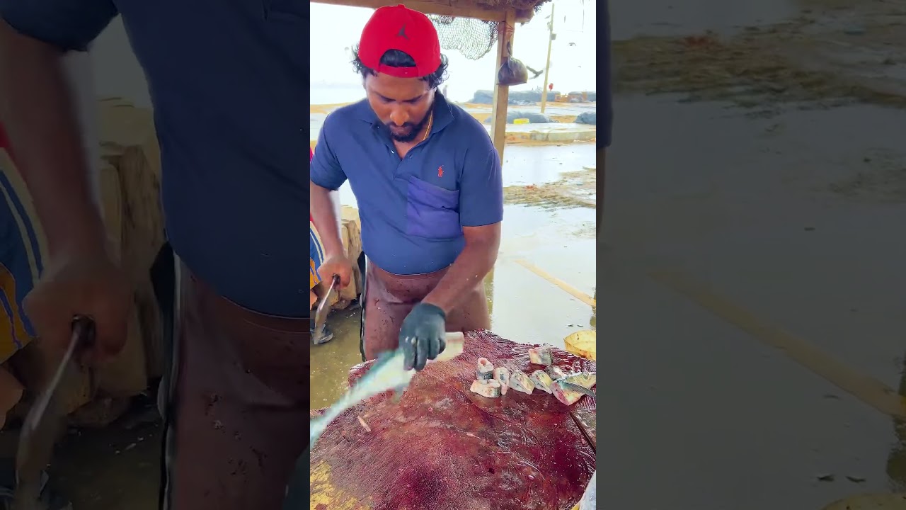 Long Hound Fish Cutting | Fastest Gar Fish Slicing skill