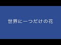 世界に一つだけの花 槇原敬之