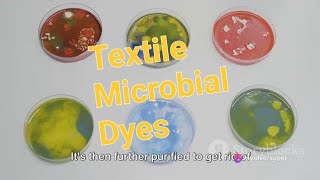 the Colorful World of Microbial Dyes! (@b_barodawalas777 )