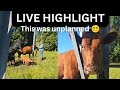 Live highlight ~ SHE WAS STUCK IN THE TOWER 😵💫😵