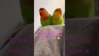 #Riky and Niky ♥️♥️♥️