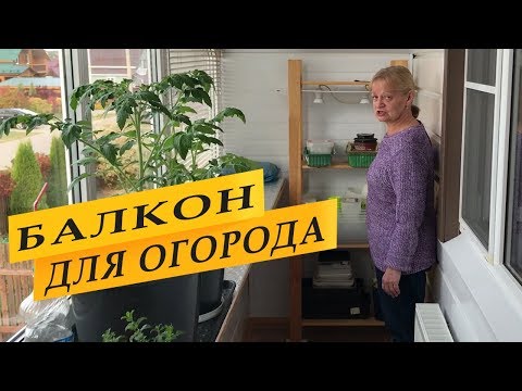 Как устроен мой балкон для зимнего огорода и рассады.