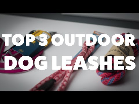 the-top-3-outdoor-dog-leashes