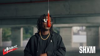 SHXM - HDTS | MiCheck Performance
