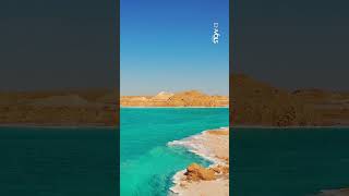 Cette oasis est l'un des secrets les mieux gardés du Sahara
