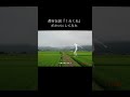 この曲実は私が作りました。（サビVer.）#ボカロ #VOCALOID #重音テト