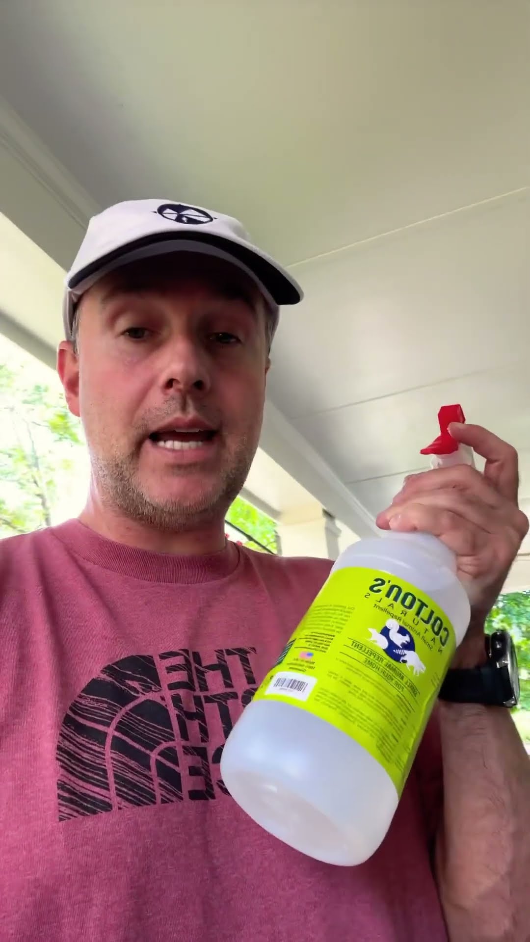 How To Get Squirrels Out Of Outdoor Furniture YouTube How To Get Squirrels Out Of Outdoor Furniture YouTube