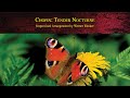 Chopin tender nocturne  improvised piano arrangement by werner elmker