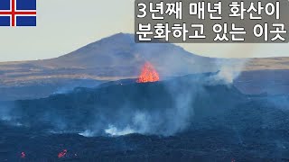 아이슬란드 여행 #4 | 태어나 처음으로 본 화산 분화 Litli-Hrútur Eruption 2023 / Whale Watching 갔는데, Seagull Watching 하고옴