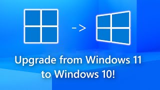 Revert from Windows 11 to Windows 10, keeping programs, files, and settings – in just five clicks!