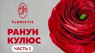 Реалистичный ранункулюс из зефирного фоамирана. Часть 1