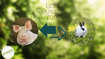 Our first Pabbit...Rig? [Lets build a Zoo]