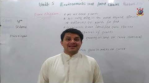 Class 4th Science Lecture 25  Plant Kingdom