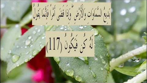 القران الكريم سورة البقرة الاية  117