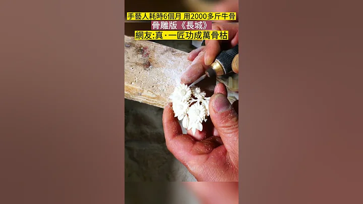 变废为宝！手艺人花费6个月把牛骨雕刻成买不起的样子！ #shorts #高手在民间 #牛骨 - 天天要闻