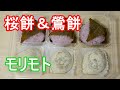 【Wagashi 和菓子】モリモトの桜餅と鶯餅 ひな祭りの和菓子といえばこれ! Sakura Mochi & Uguisu mochi Morimoto For Hinamatsuri