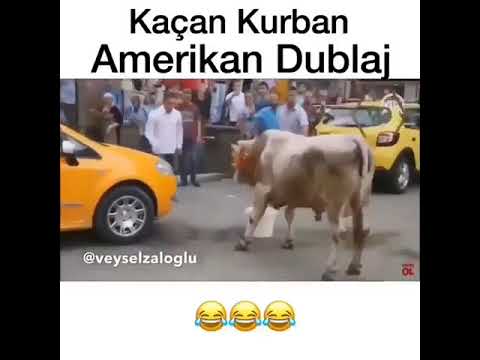 KAÇAN KURBAN AMERİKAN DUBLAJ.