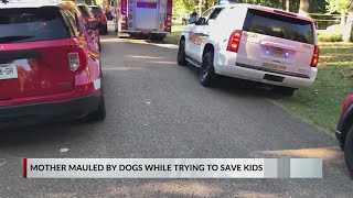 Family calls mom who tried to save kids from dog attack a hero