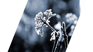 OmgLoSteve – Frozen (Lyrics) - YouTube