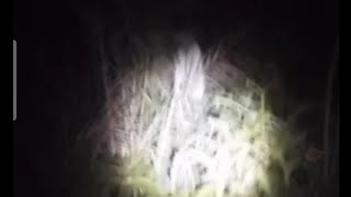 An Halu Yagh ... Bang Bangkai.