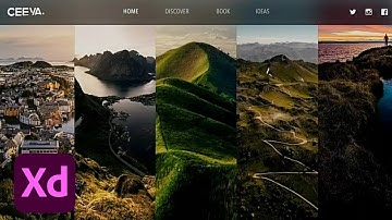 Adobe XD Weekly: January 28 | Adobe Creative Cloud