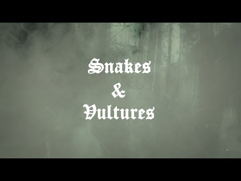 Snakes & Vultures