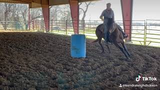 Flicka , 4 yo Storm Cat TB mare